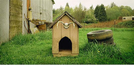 公布四年之后 《Misc. A Tiny Tale》终于确定上市日期